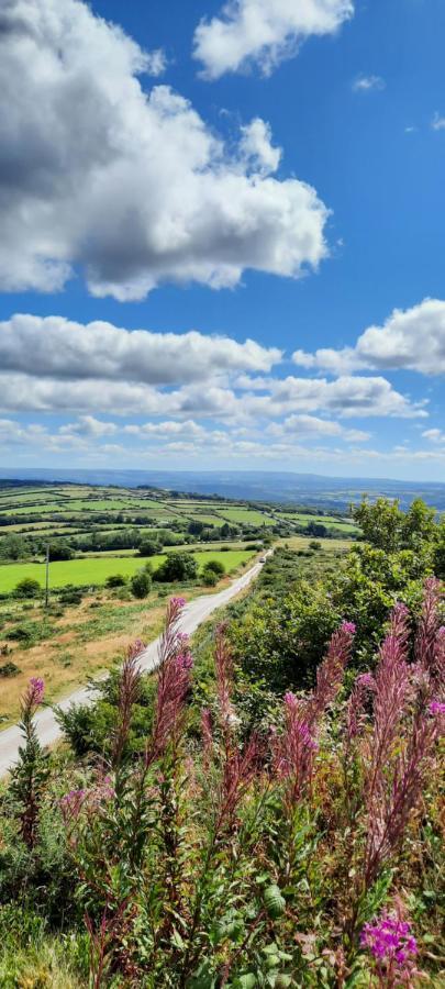 Summit Camping Kit Hill Cornwall Panoramic Views Grass Pitch From 15Pn Or Bella Bell Tent 75Pn Callington Экстерьер фото